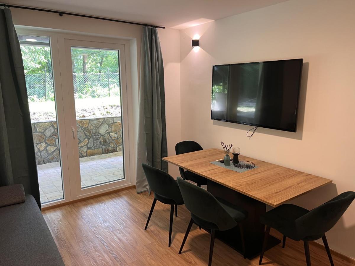 Prenocisca Mraz Apartment Velenje Exterior foto
