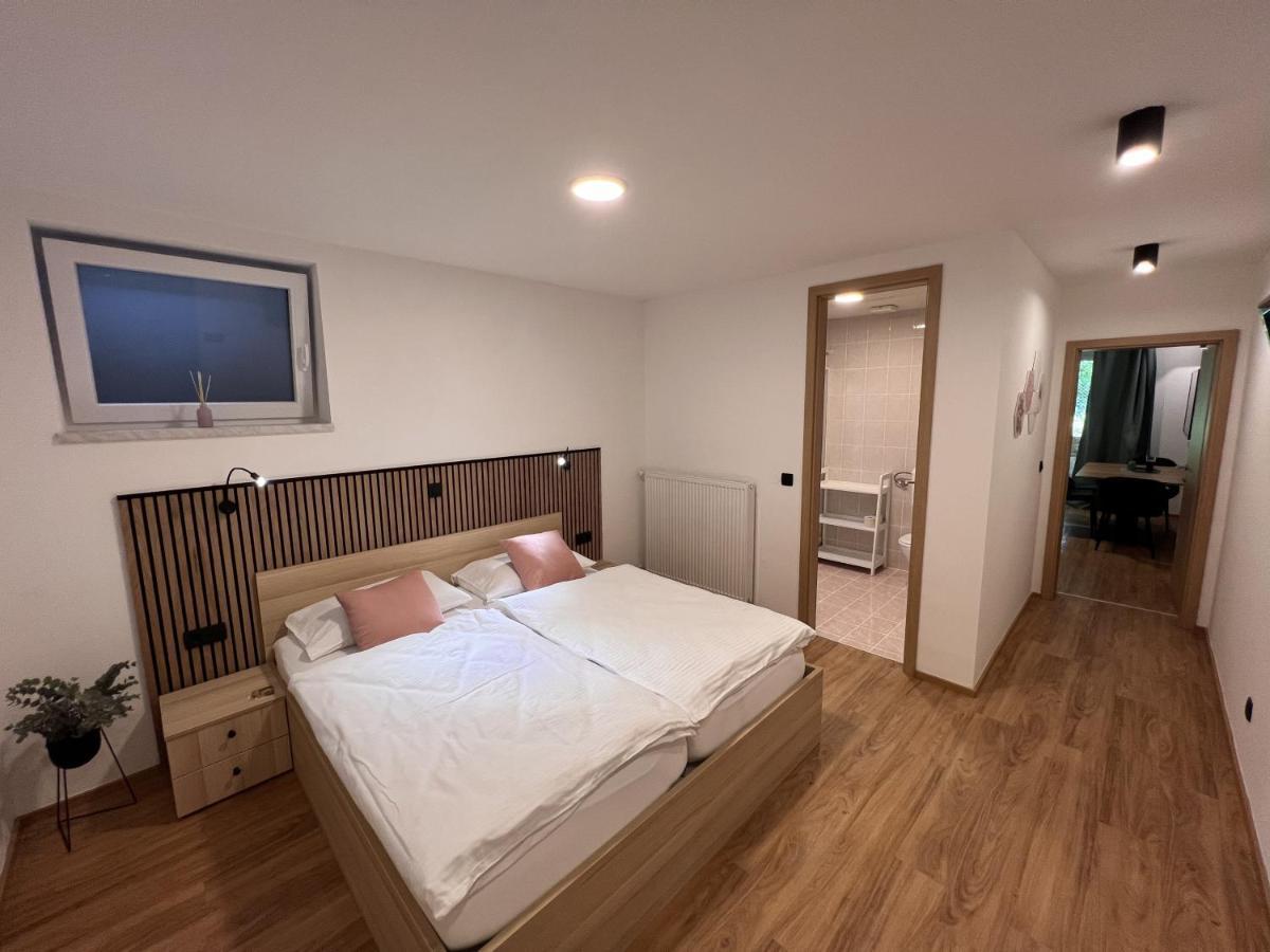 Prenocisca Mraz Apartment Velenje Exterior foto